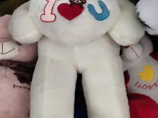 Мишка, Душанбе