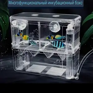 Отсадник для мальков, Худжанд