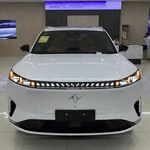 Dongfeng EP 008