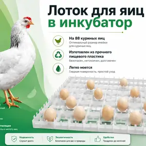 Лоток/Флейка/Ячейкаи тухми мурғ барои инкубатор, Душанбе