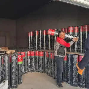 Гидроизоляция, Душанбе