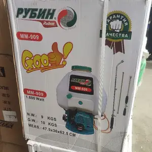 Дорушапак, Душанбе