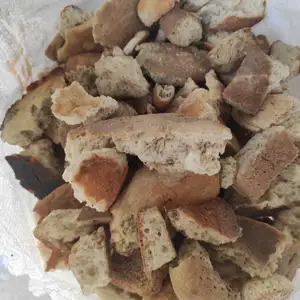 Нони хушк барои чорво, Пенджикент