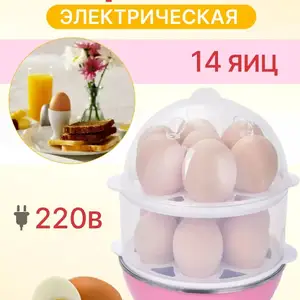 Яйцеварка электрическая, Худжанд
