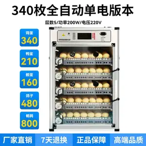 Инкубатор 340д, Душанбе