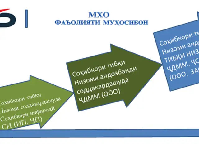 Машварати касби оид ба андозбандӣ, Душанбе