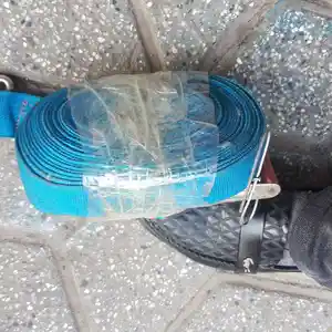 Лебедка, Душанбе