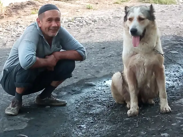 Саг, Турсунзаде