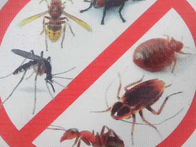 Услуги дезинфекции, Душанбе