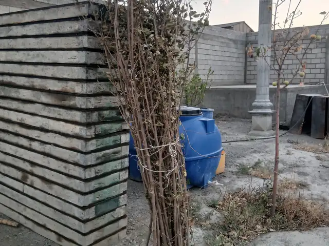 Хезум, Исфара