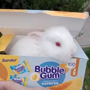 Харгушча 9км, Душанбе
