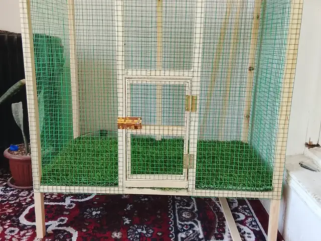 Кафаси калон, Турсунзаде