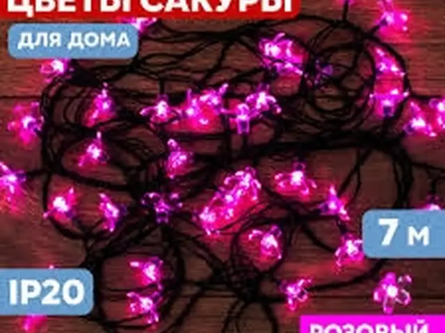 Гирлянда, Душанбе