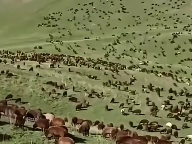 Барра, Душанбе