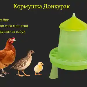Донхурак/Кормушка почадор, Душанбе
