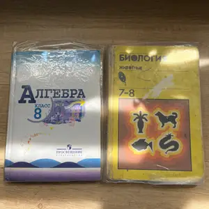 Учебник, Худжанд