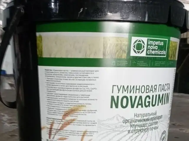 Сехи истехсоли, Хуҷанд