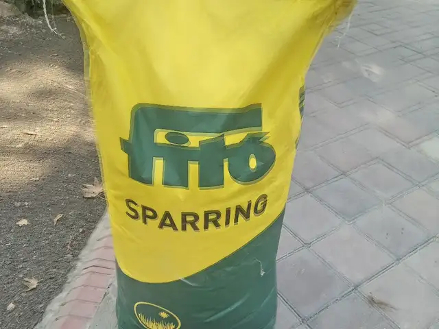 Тухми газон, Душанбе