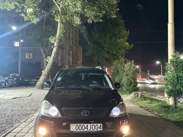 Toyota Ipsum