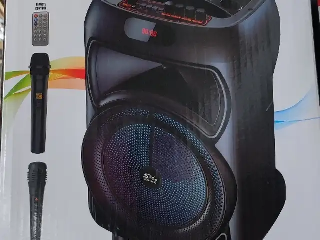 Колонка Sing-e, Душанбе
