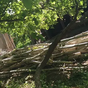 Сафедор, Канибадам