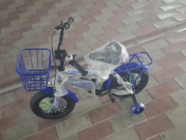 Велосипед Барс, Душанбе