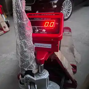 Весы для взвешивания, Душанбе