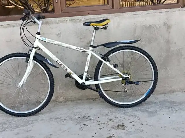 Велосипед корейский, Душанбе