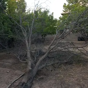 Ҳезим, Ашт
