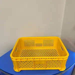 Ящик 12 кг, Хуҷанд