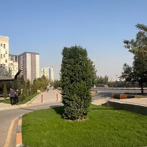 Ёсамин, Душанбе