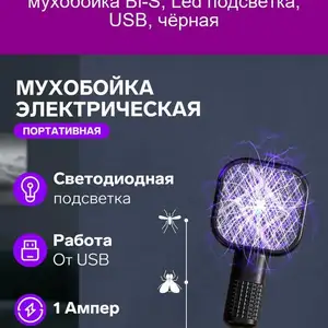 Электрическая мухобойка, Душанбе