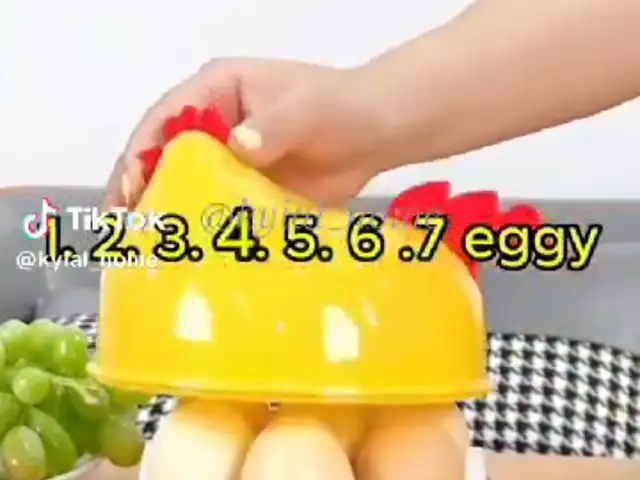 Электрическая яйцеварка, Худжанд