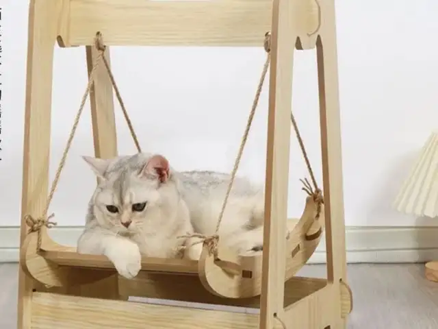 Качели для кошек, Хуҷанд