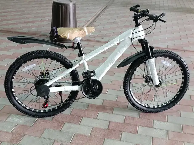 Велосипед, Душанбе