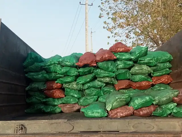 Кумур, Душанбе