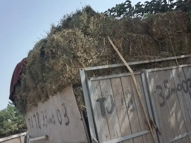 Пресс, Восеъ