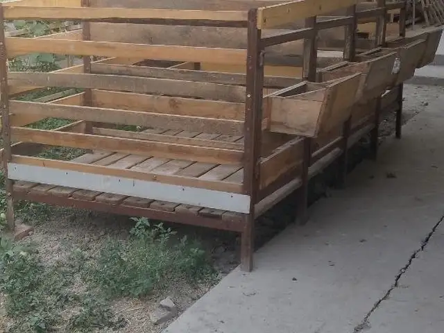 Клетка для барана, Спитамен