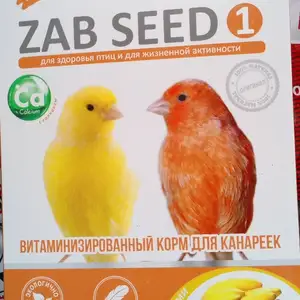 Корм для попугаев, Худжанд