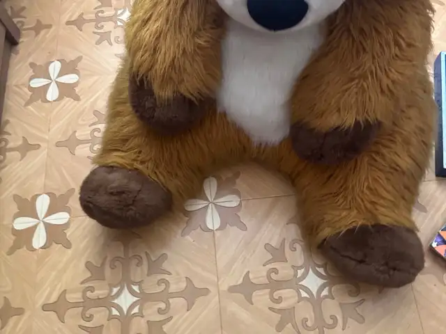 Плюшевая собака, Душанбе