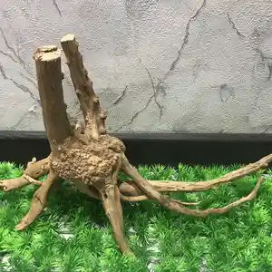 Коряга Little tree root 100g, Худжанд