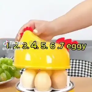 Электрическая яйцеварка, Худжанд