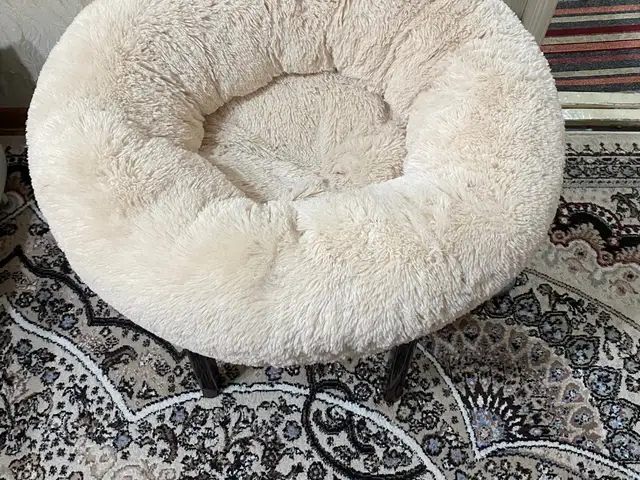 Лежанка для собак и кошек, Душанбе