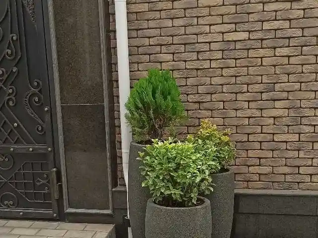Комплект ваз для цветов, Душанбе