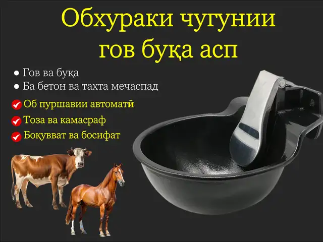 Поилка/Обхураки гов чугуни гов буқа асп, Душанбе