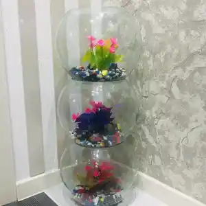 Аквариум круглый, Худжанд