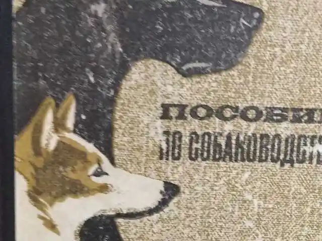 Книга Пособие по собаководству, Душанбе