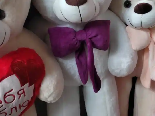 Мишка, Душанбе