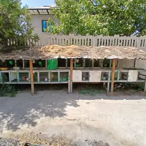 Клетка барои Харгуш, Шаҳринав