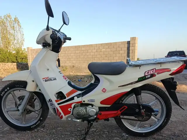 Скутер утка, Ашт